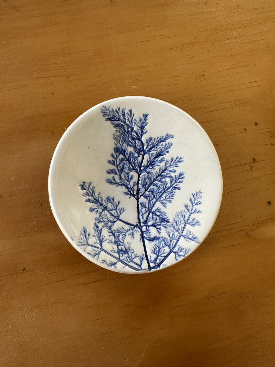 Ceramic Fennel Dish