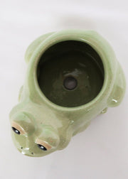 Frog Planter