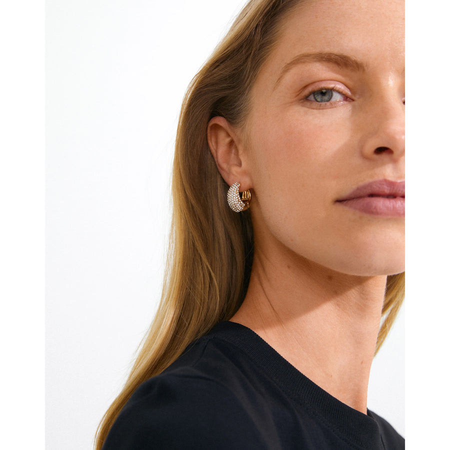 Focus Crystal Earrings