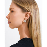 Focus Crystal Earrings