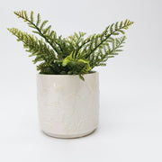 Butterfly Planter