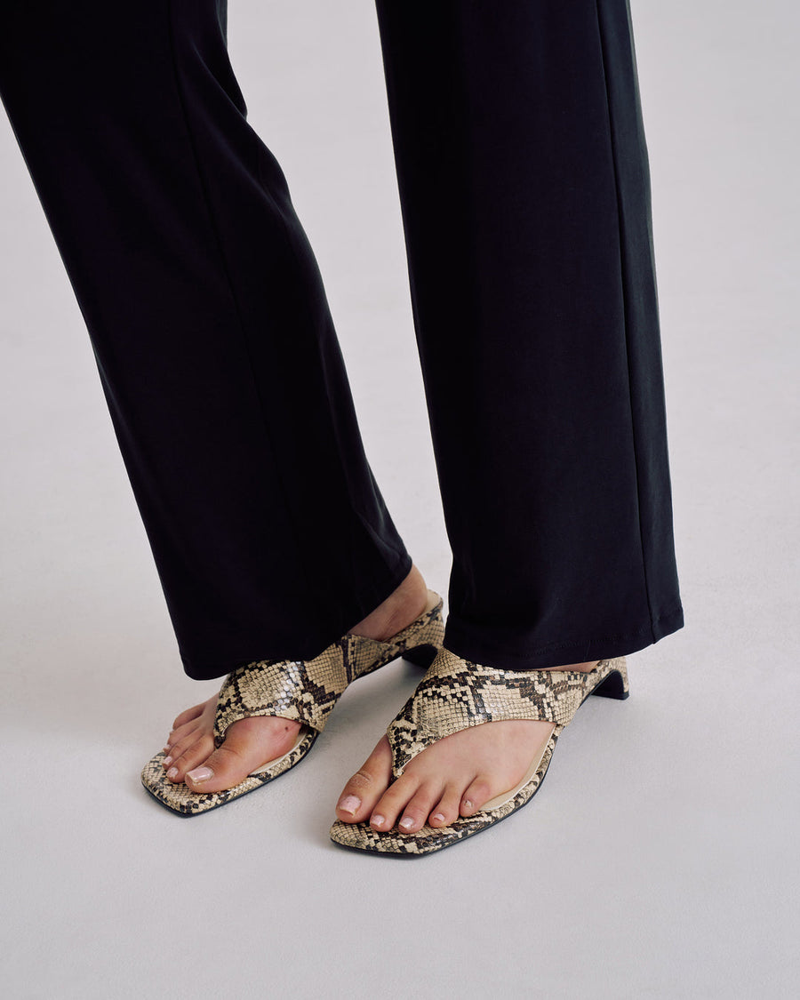 Marcella Heel in Python