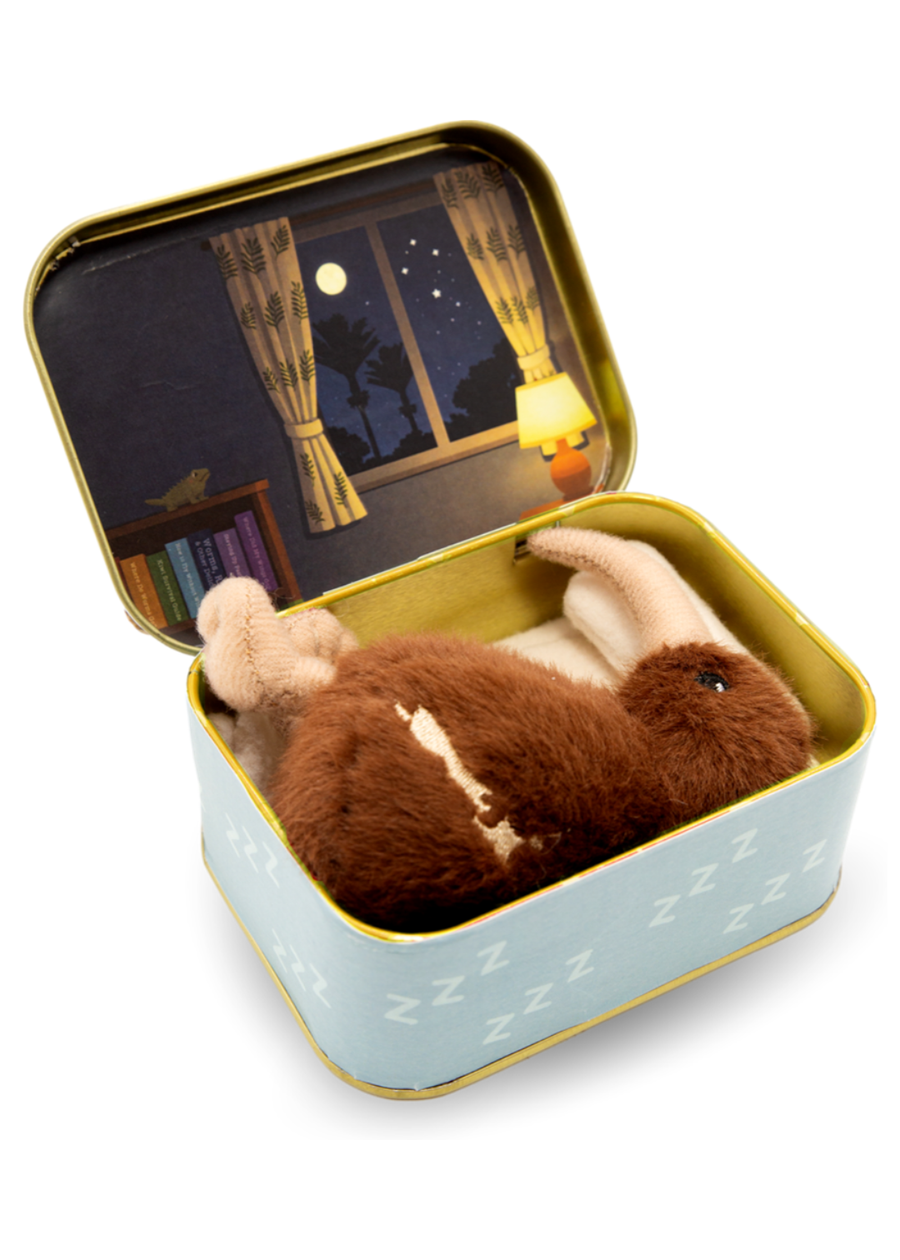 My Sleepy Kiwi