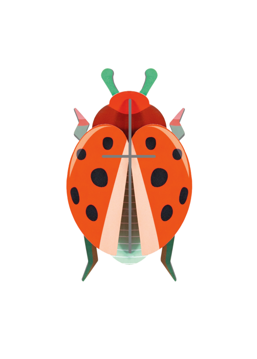 Coccinelle Rouge