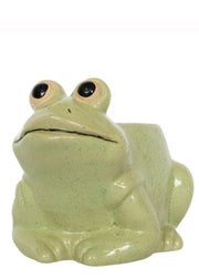 Frog Planter