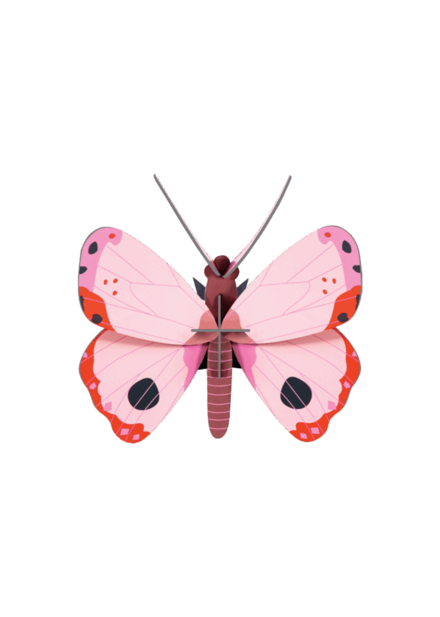Rosora Butterfly