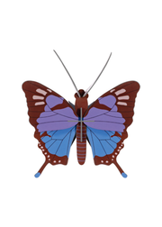 Crysalus Butterfly