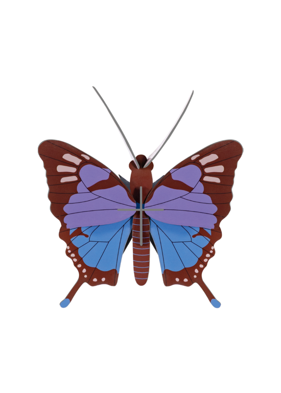 Crysalus Butterfly