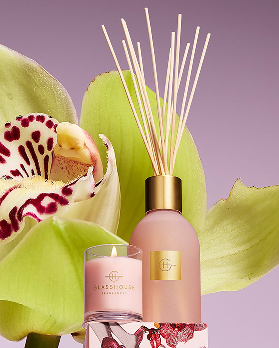 Radiance In Bloom Diffuser