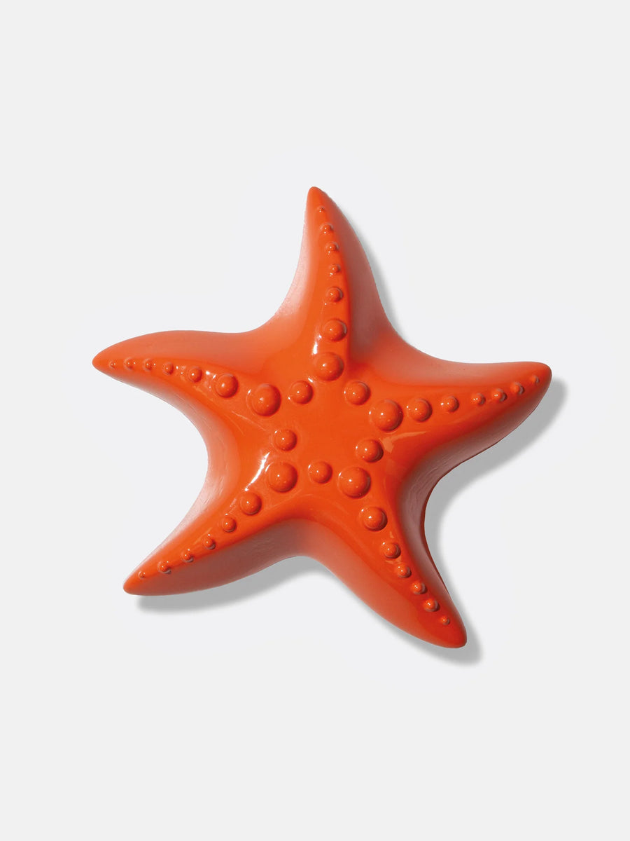 Ocean Dreams Starfish Bottle Opener