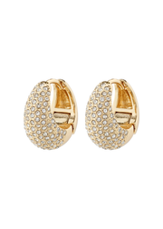 Focus Crystal Earrings