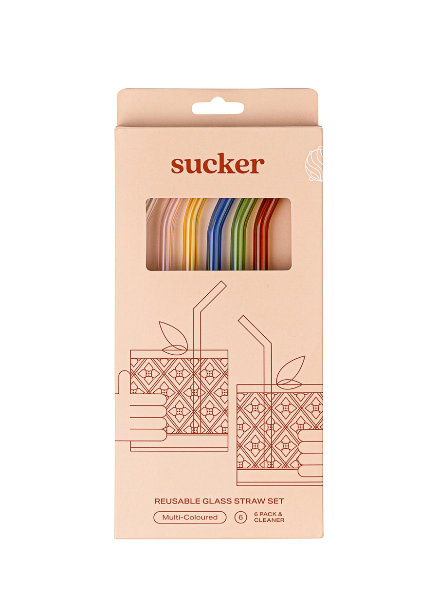 Reusable Glass Drinking Straws - Multi-colour