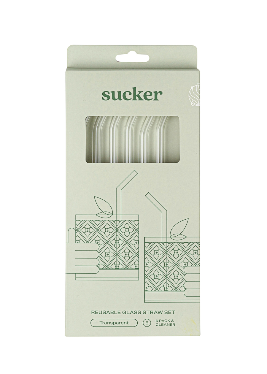 Reusable Glass Drinking Straws - Transparent