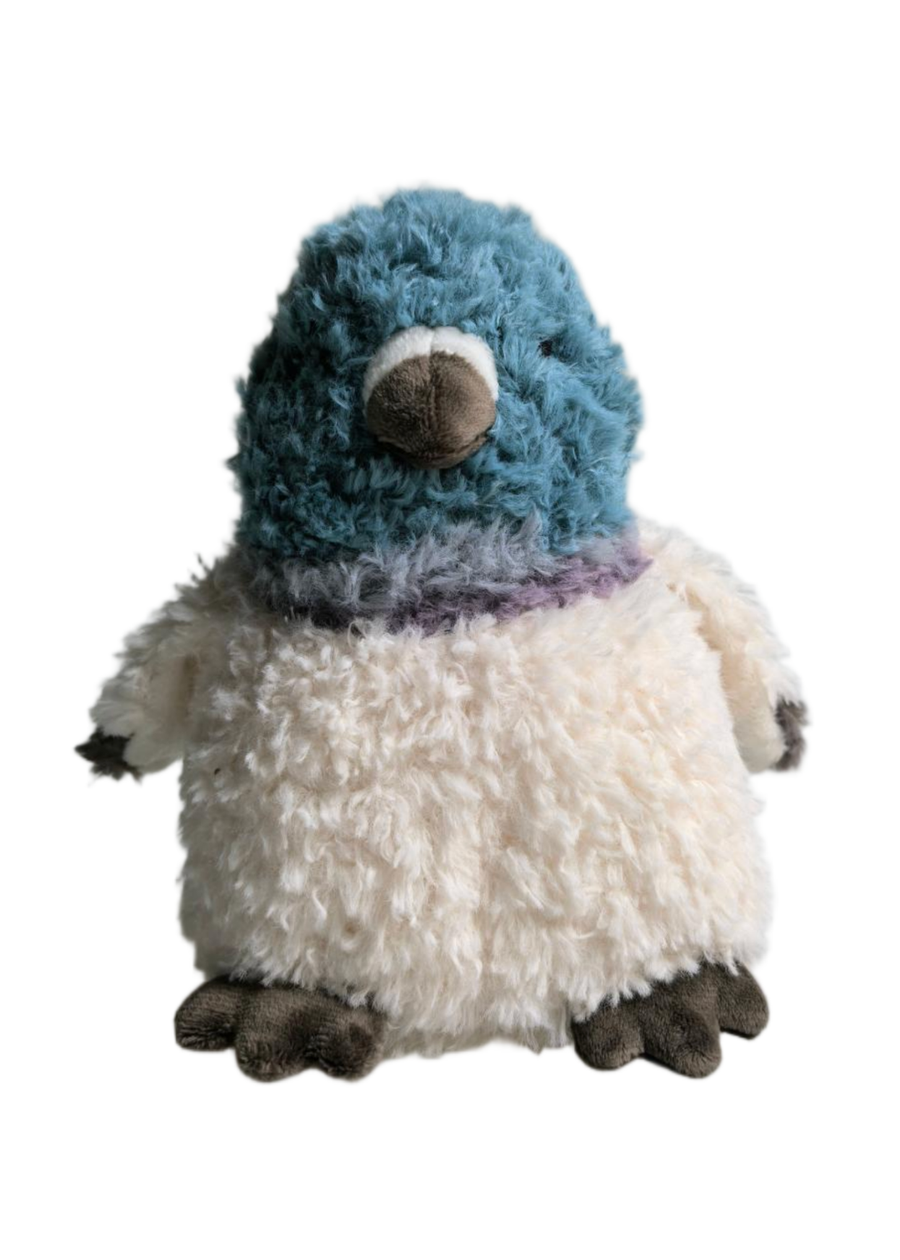 Plump Pigeon