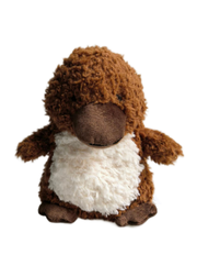 Playful Platypus