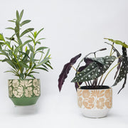 Matisse Planter