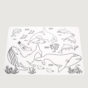 Silicone Colour-In Placemat