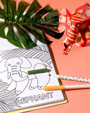 Alphabet Safari Colouring Kit