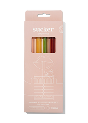 Reusable Glass Smoothie Straws - Multi-colour