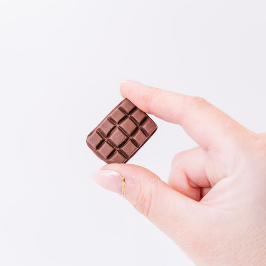 Chocolate Block Magnet