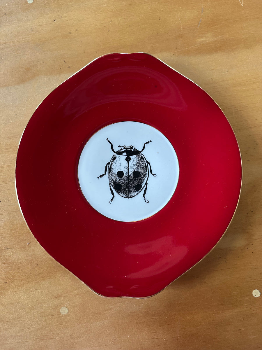 Bug on Burgundy