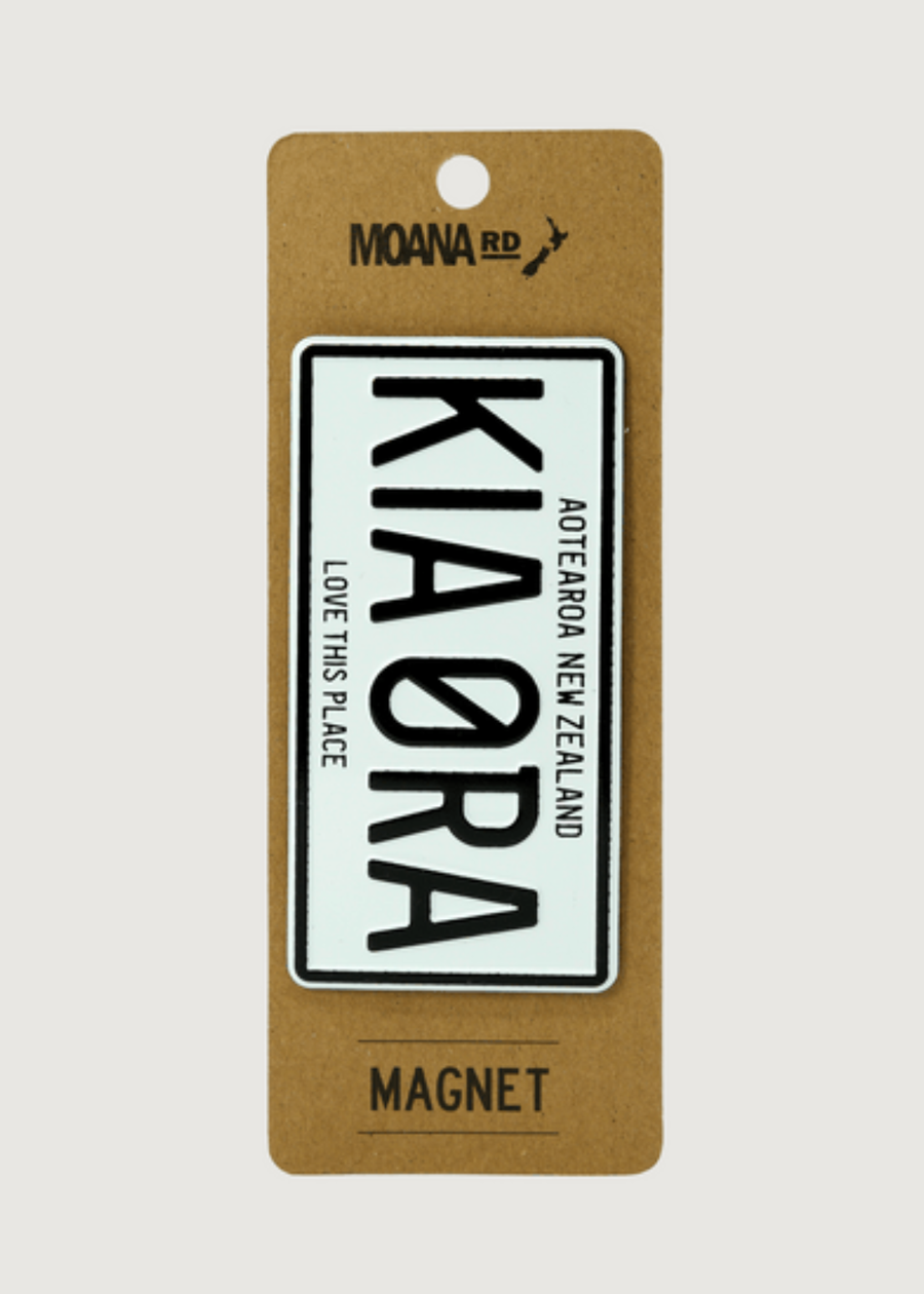 Number Plate Magnet