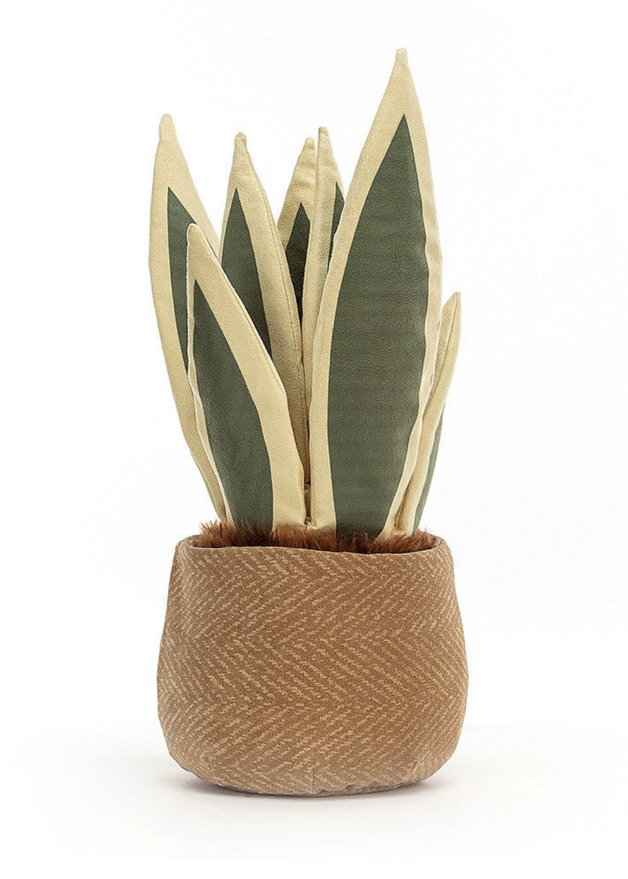 Amuseables Snake Plant