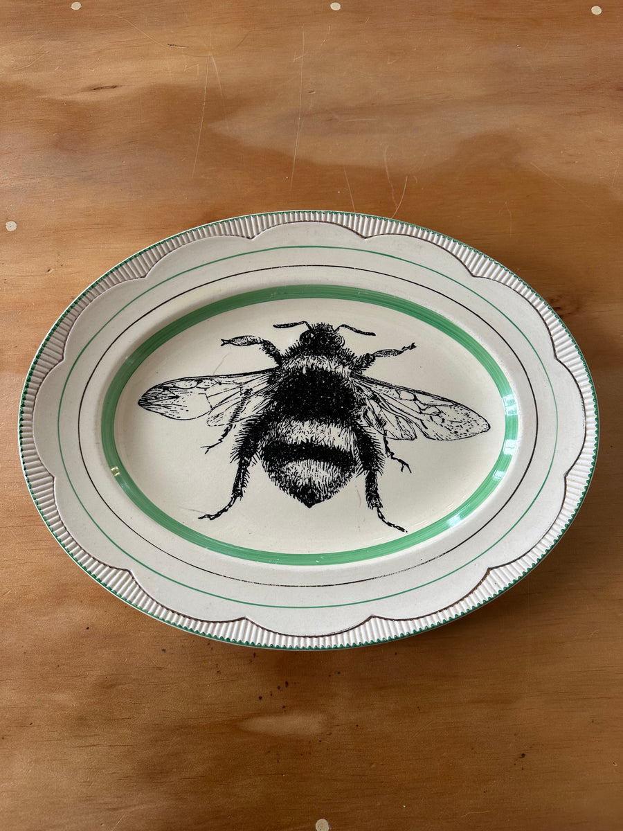 Bee on Clarice