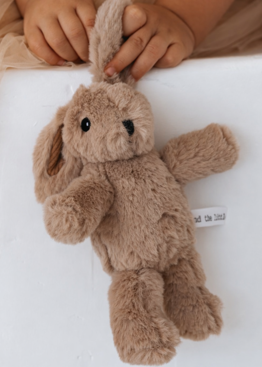 Hugh Rabbit - Medium