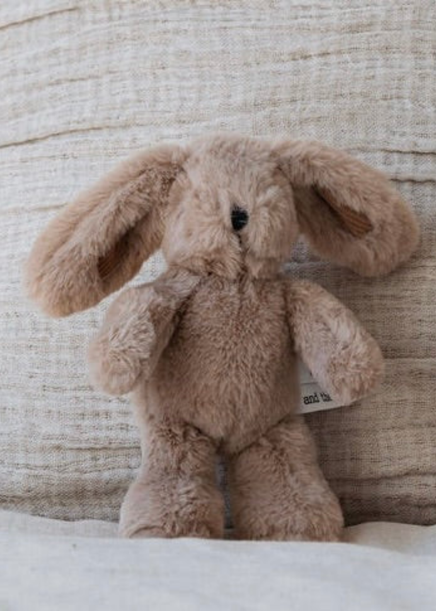 Hugh Rabbit - Mini