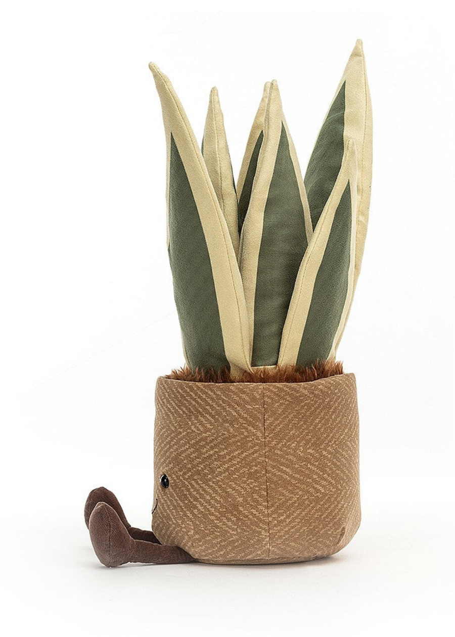 Amuseables Snake Plant