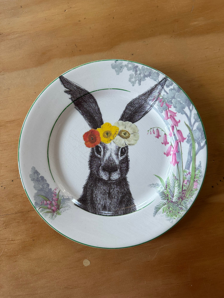 Something in my Hare
