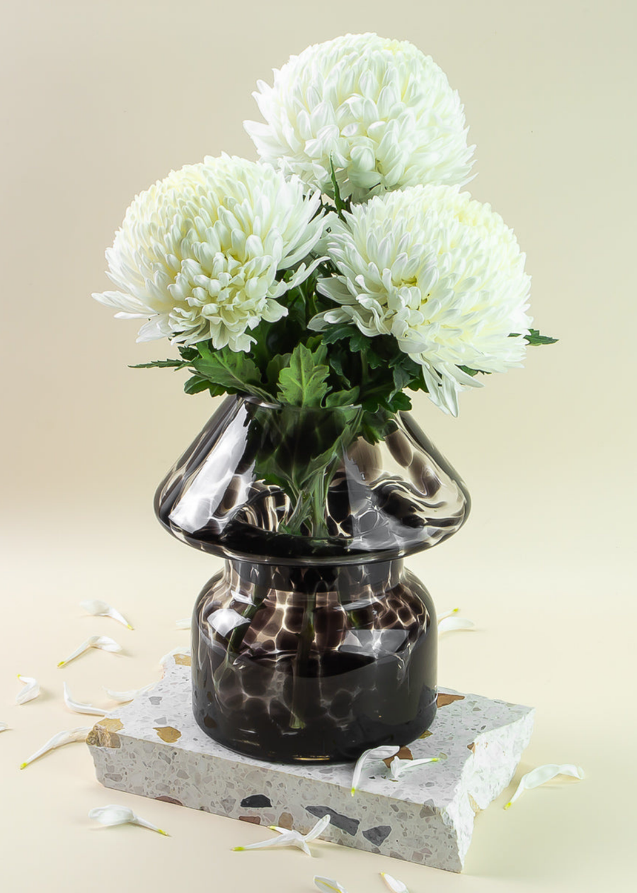 Black Truffle Mushroom Lamp