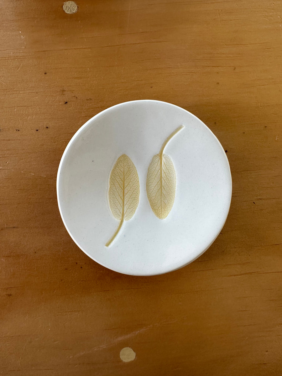 Ceramic Sage Dish