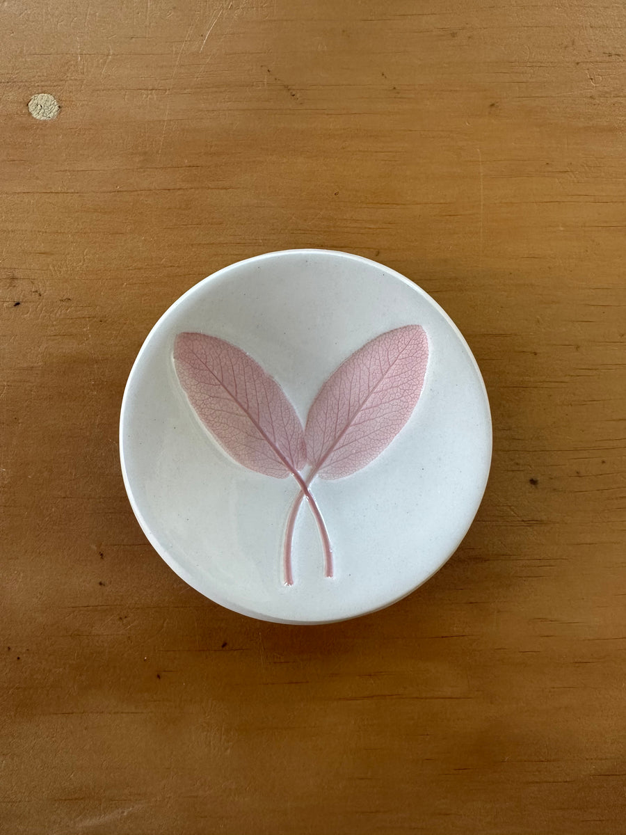 Ceramic Sage Dish