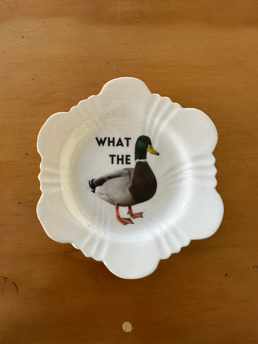 What the Duck