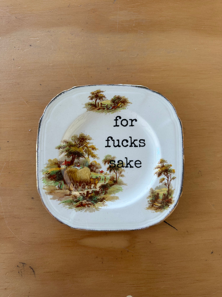 For F#cks Sake