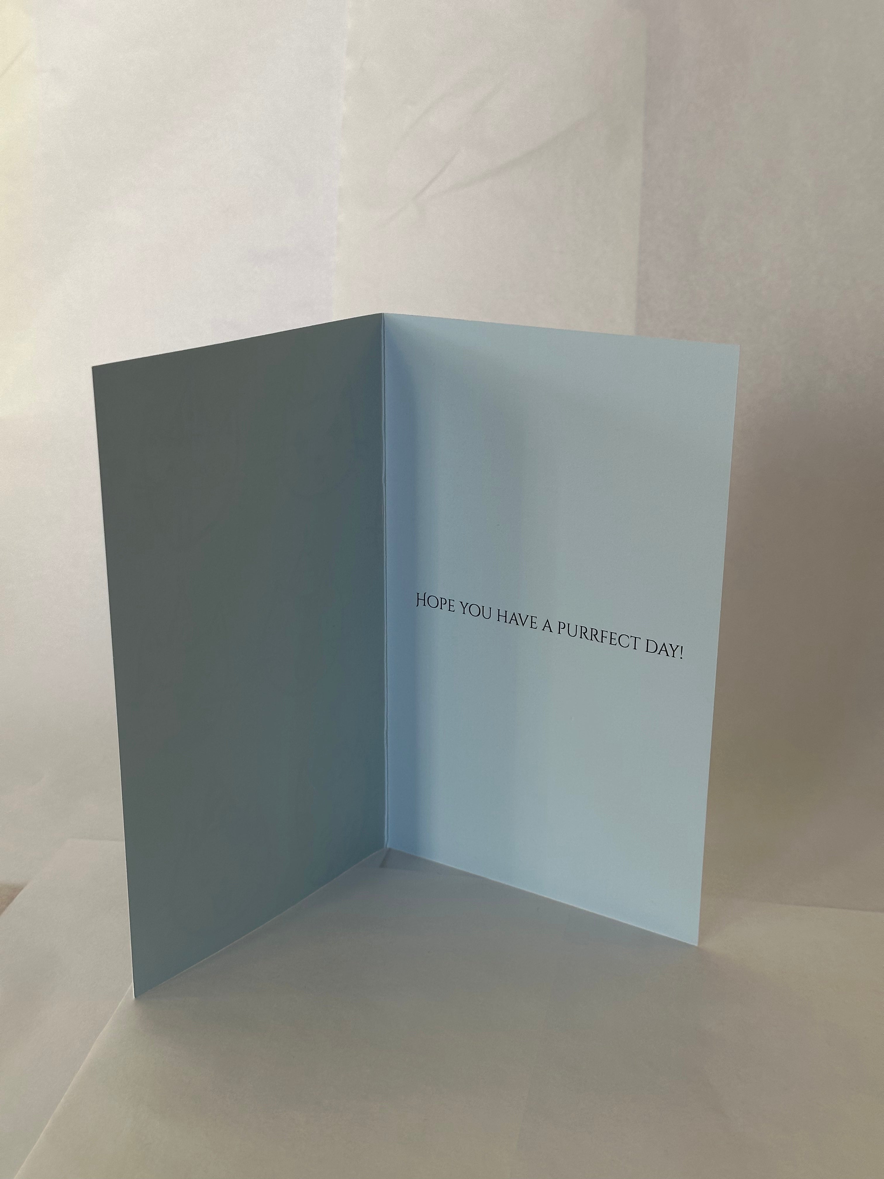 Have A Purrfect Day Card