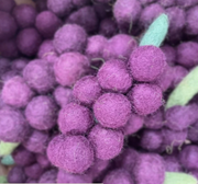 Grape