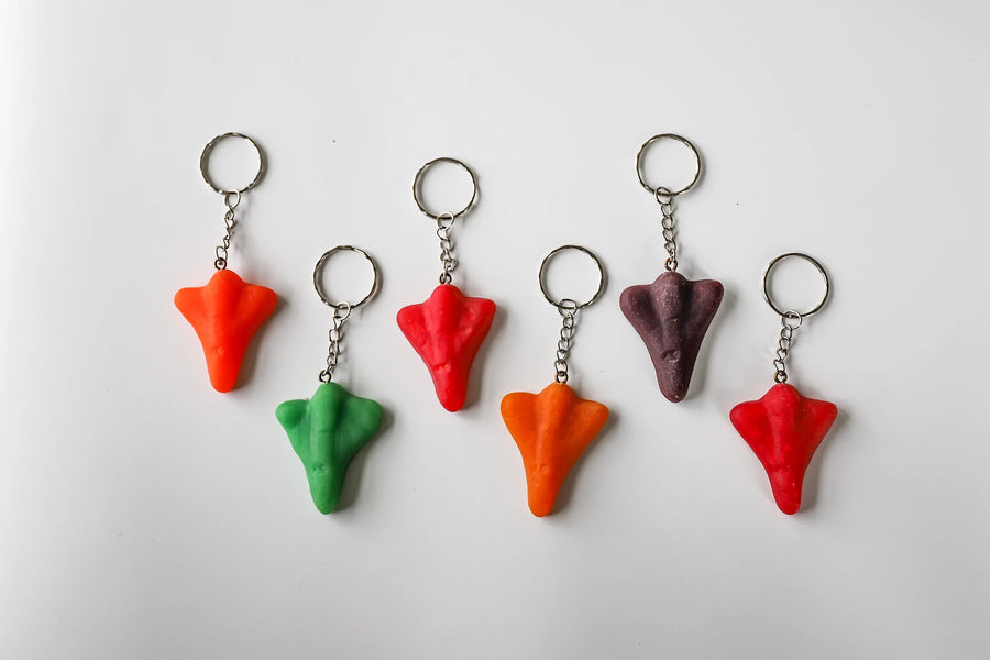Jet Plane Keychain
