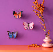 Crysalus Butterfly