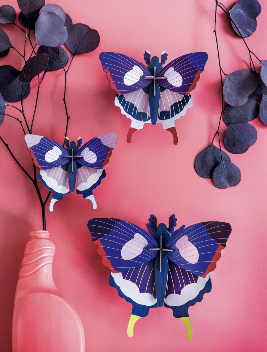 Swallowtail Butterflies, Set of 3